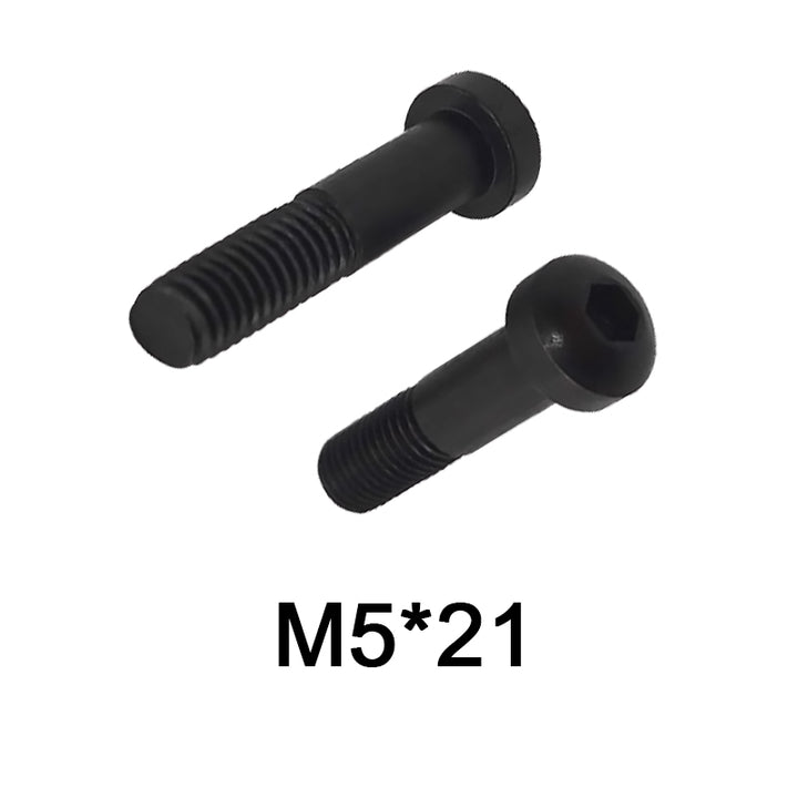 M5*21 D type pressure plate screw