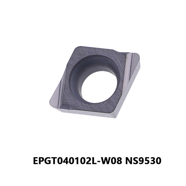 EPGT040102L-W08 NS9530 (10pcs)