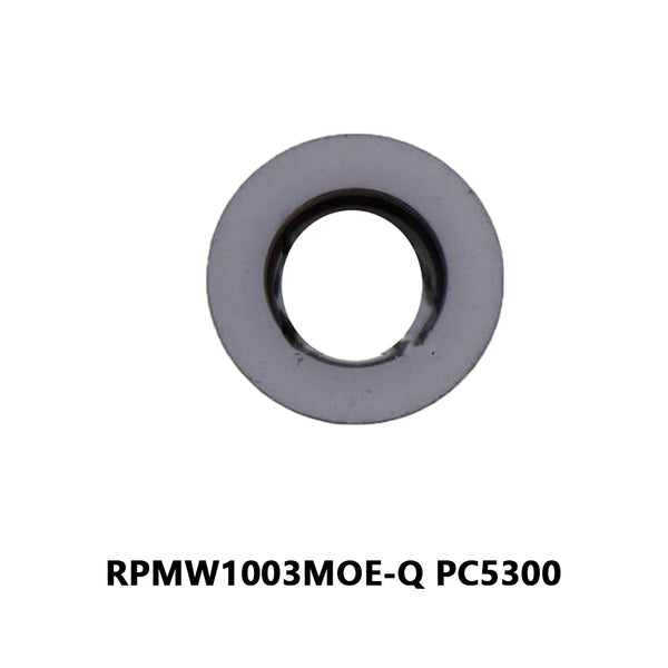 RPMW1003MOE-Q PC5300 (10pcs)